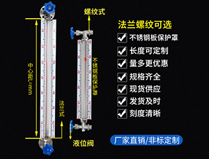 双氧水罐玻璃液位计